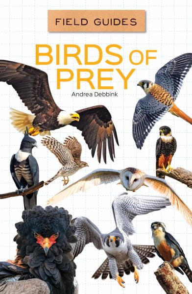 Birds of prey (Field Guides)
