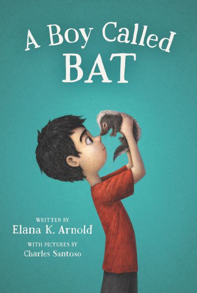 A boy called Bat (Bat, Book 1)