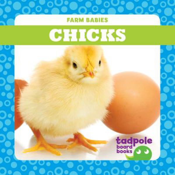 Chicks (Farm Babies)
