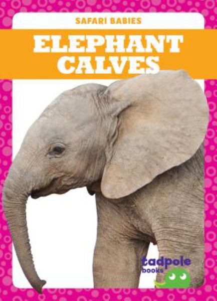 Elephant calves (Safari Babies)