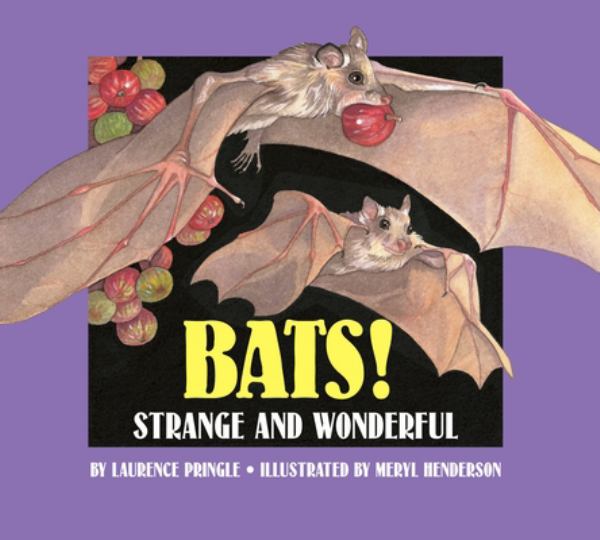 Bats! (Strange And Wonderful)