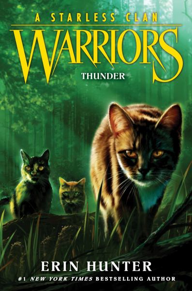 Thunder (Warriors: A Starless Clan, Book 4)