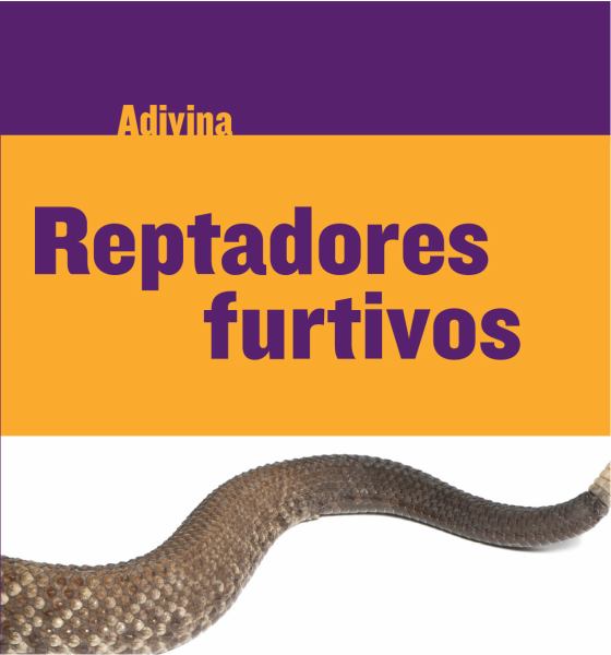 Reptadores furtivos (Guess What)