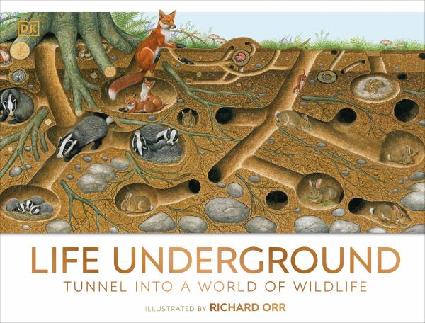 Life underground : tunnel into a world of wildlife