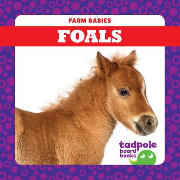 Foals (Farm Babies)