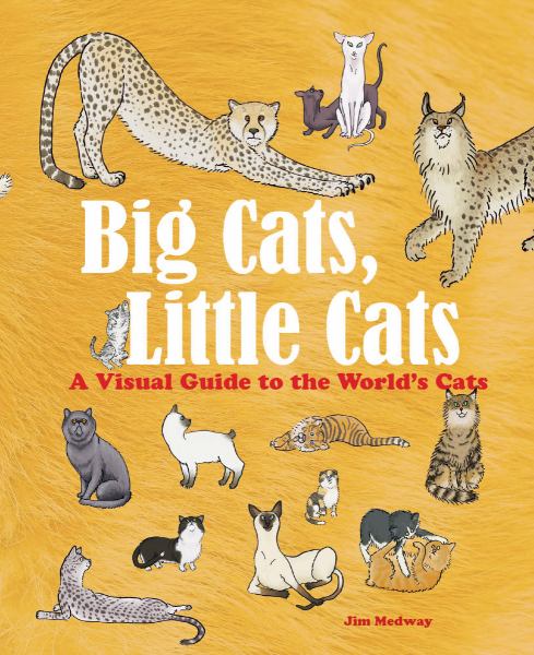 Big cats, little cats : a visual guide to the world's cats (Big & Little)