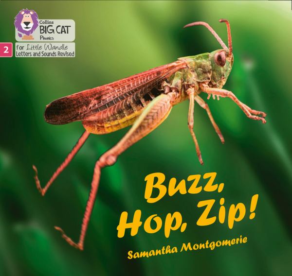 Buzz, hop, zip! (Collins Big Cat Phonics)