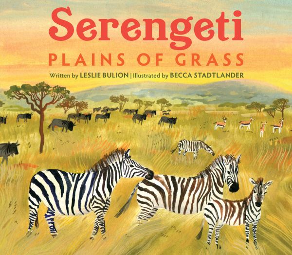 Serengeti : plains of grass
