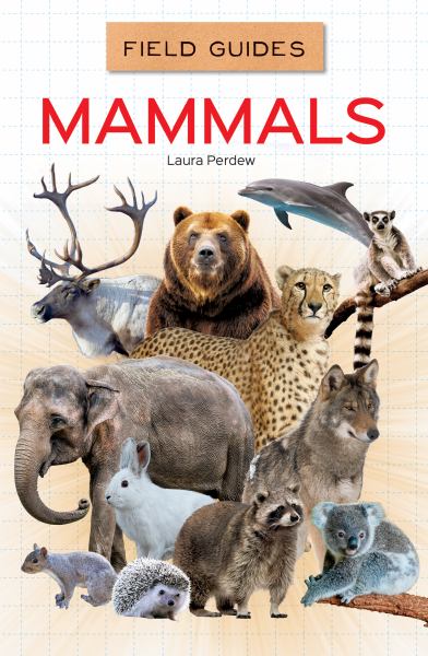 Mammals (Field Guides for Kids)