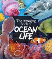 Amazing Book Of Ocean Life